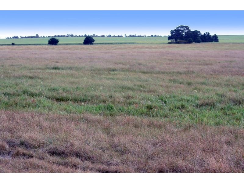 TATYOON RD, Tatyoon VIC 3378