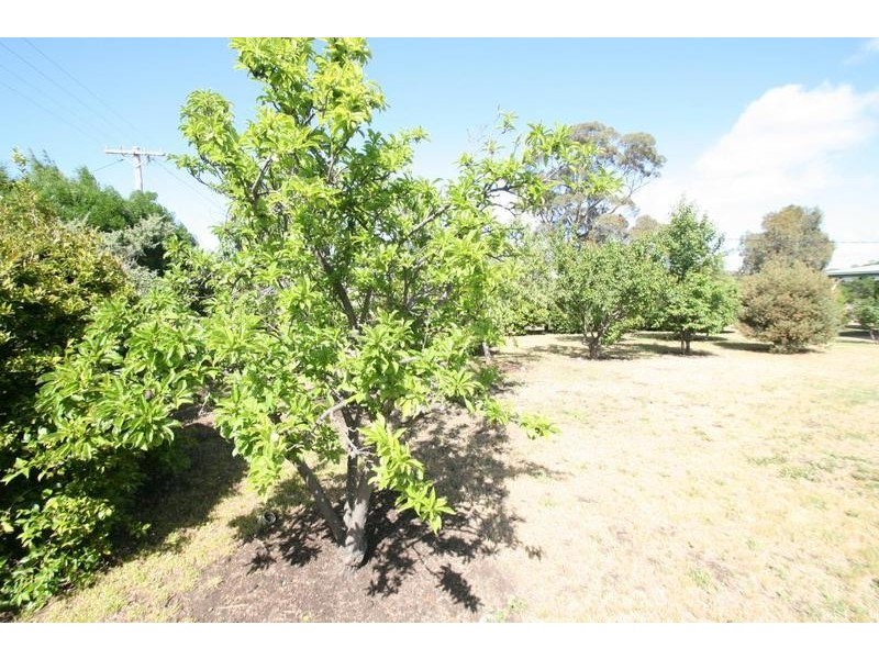 4 Dean Street, Landsborough VIC 3384