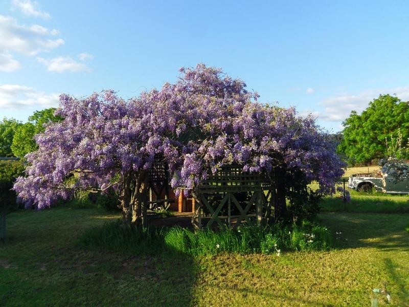 4 Dean Street, Landsborough VIC 3384