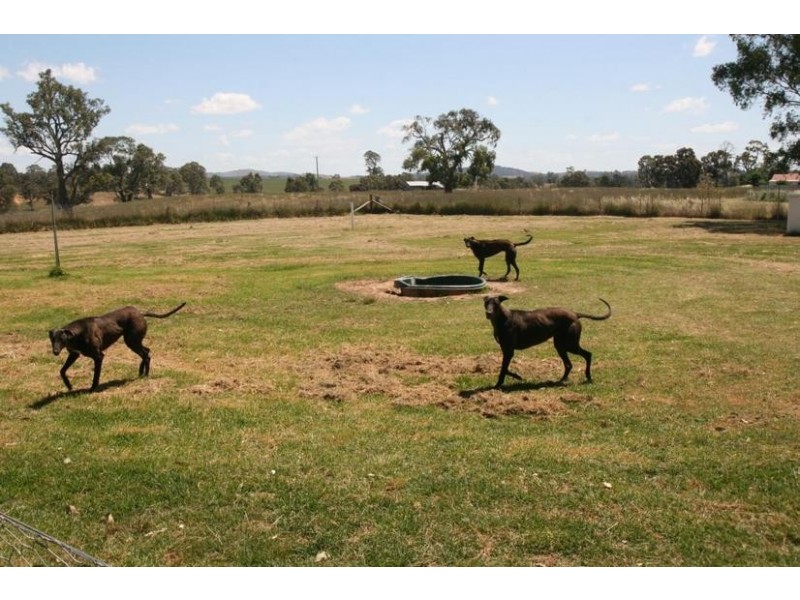 23 Wright Street, Crowlands VIC 3377