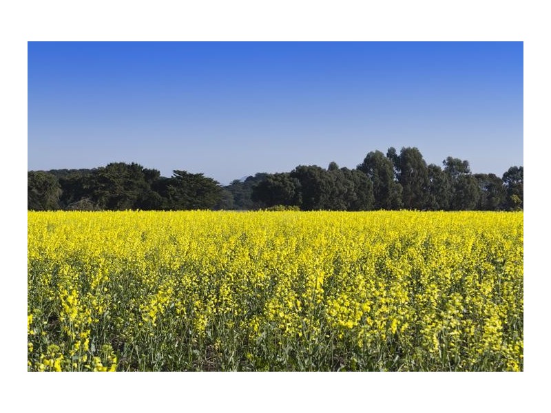 Lot 1 – 5, 3526 Maroona – Glenthompson Road, Glenthompson VIC 3293