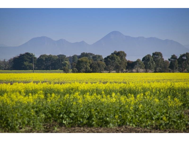 Lot 1 – 5, 3526 Maroona – Glenthompson Road, Glenthompson VIC 3293