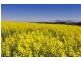 Lot 1 – 5, 3526 Maroona – Glenthompson Road, Glenthompson VIC 3293