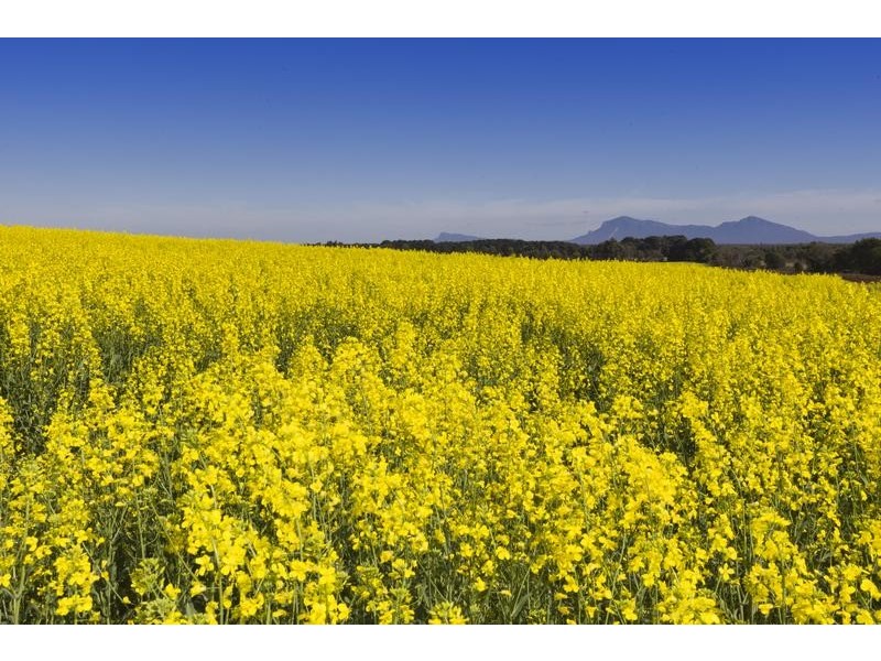 Lot 1 – 5, 3526 Maroona – Glenthompson Road, Glenthompson VIC 3293