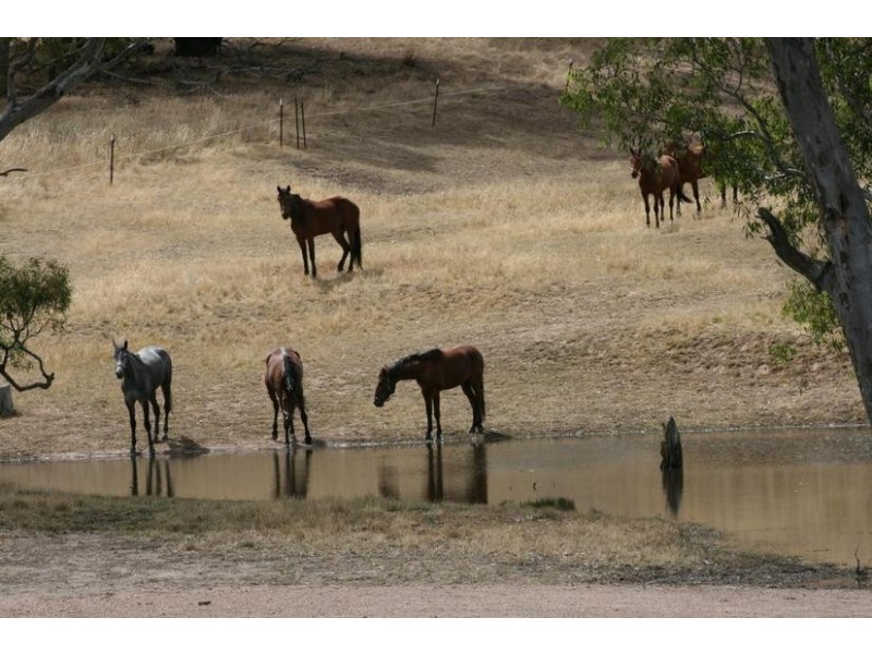 13 Thomas Road, Armstrong VIC 3377