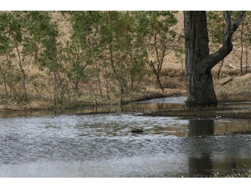 13 Thomas Road, Armstrong VIC 3377