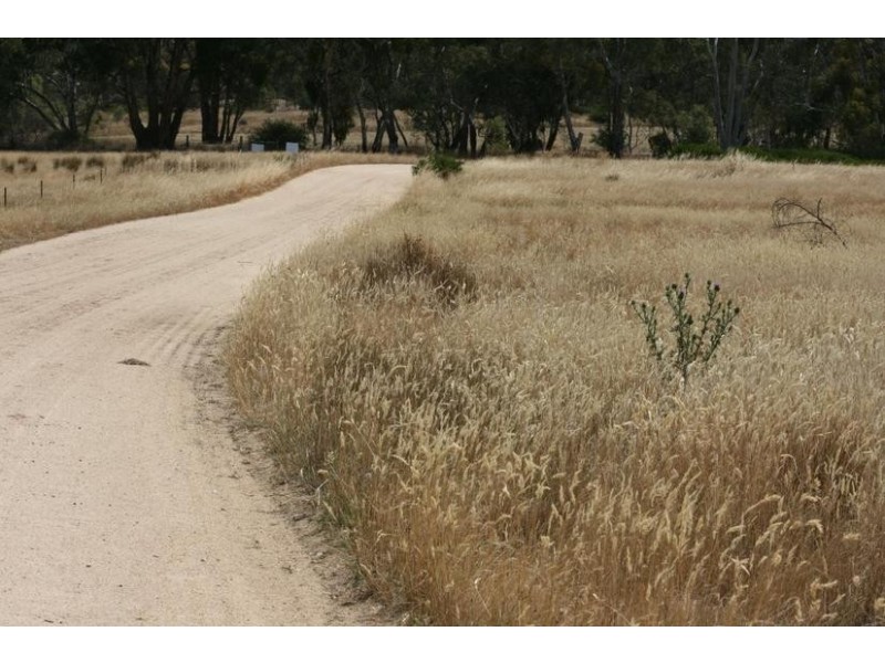 13 Thomas Road, Armstrong VIC 3377