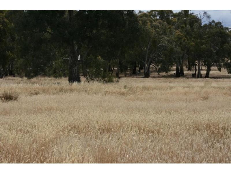 13 Thomas Road, Armstrong VIC 3377