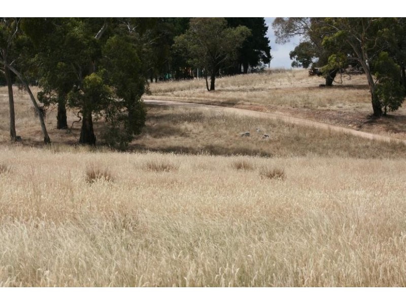 13 Thomas Road, Armstrong VIC 3377