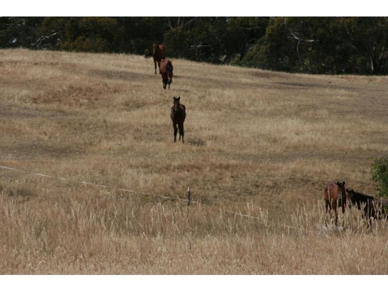 13 Thomas Road, Armstrong VIC 3377