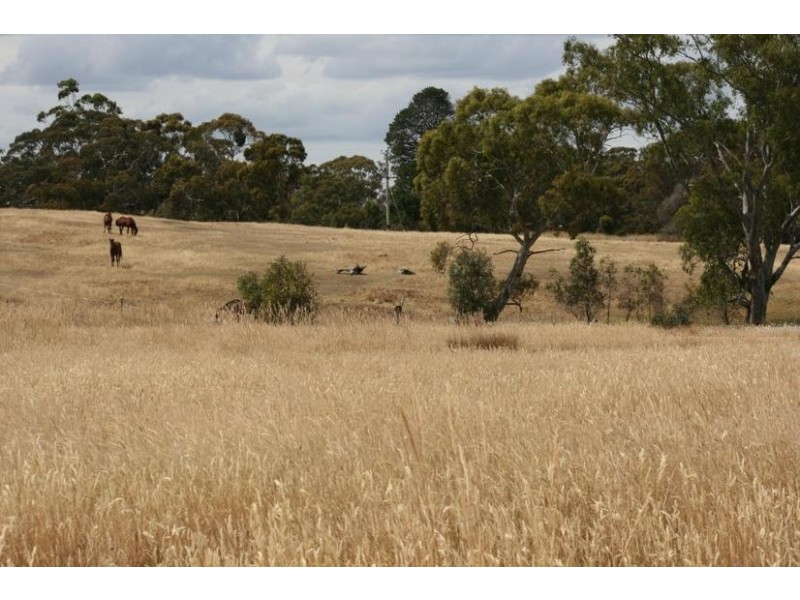 13 Thomas Road, Armstrong VIC 3377