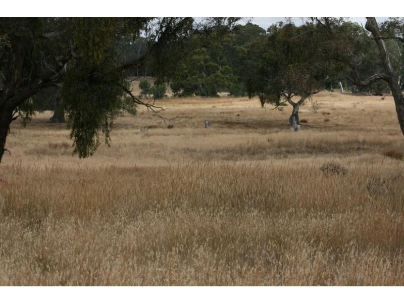 13 Thomas Road, Armstrong VIC 3377