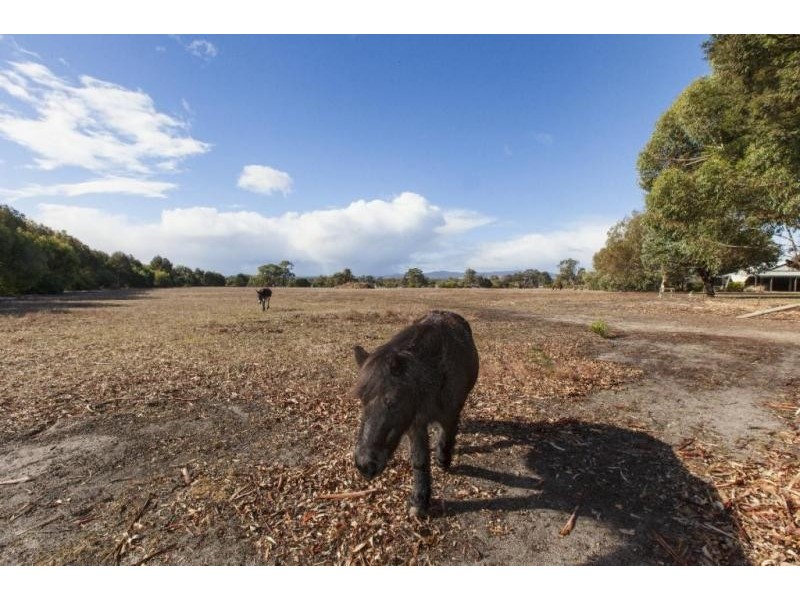 50 Robins Road, Pomonal VIC 3381