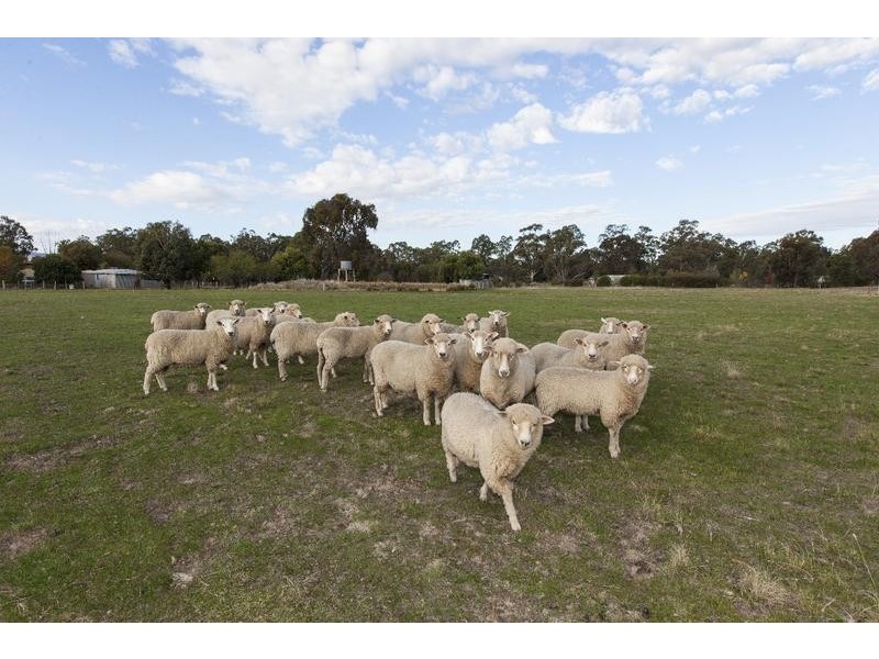 67 Green Street, Elmhurst VIC 3469