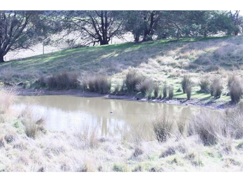 1139 Amphitheatre Road, Mount Lonarch VIC 3468