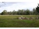 Lot 2,  Blind Creek Road, Elmhurst VIC 3469