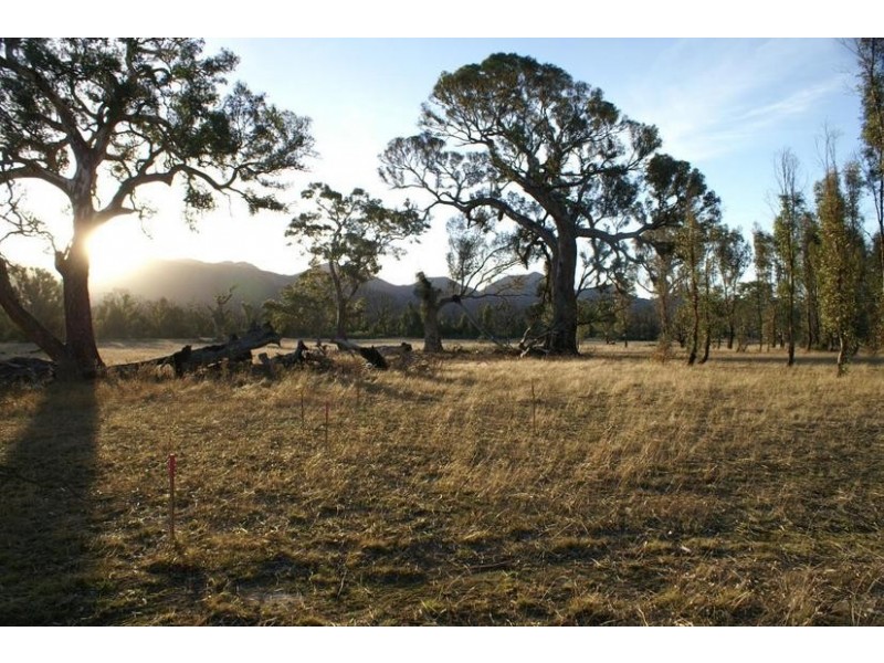 00 Beehive Road, Mafeking VIC 3379