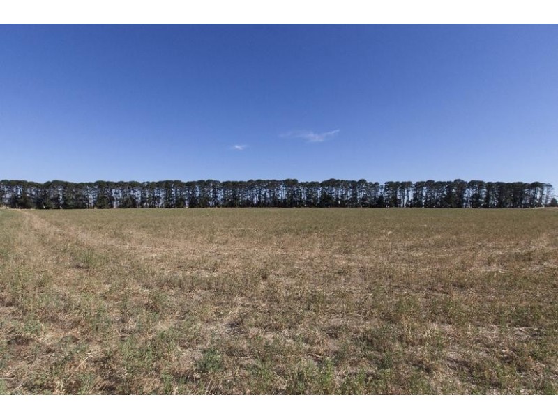 44 Wickliffe Road, Willaura VIC 3379
