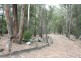 65 Scotts Road, Halls Gap VIC 3381
