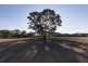 8 Saw Pit Flat Road, Ararat VIC 3377