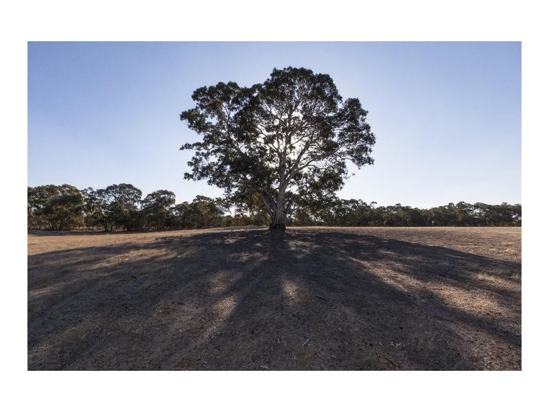 8 Saw Pit Flat Road, Ararat VIC 3377