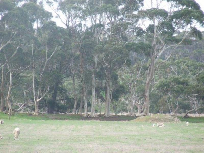 2318 Mortlake – Ararat Road, Woorndoo VIC 3272