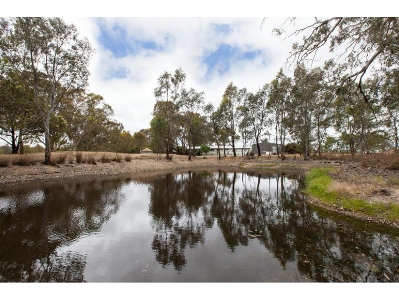 12 Packard Drive, Ararat VIC 3377
