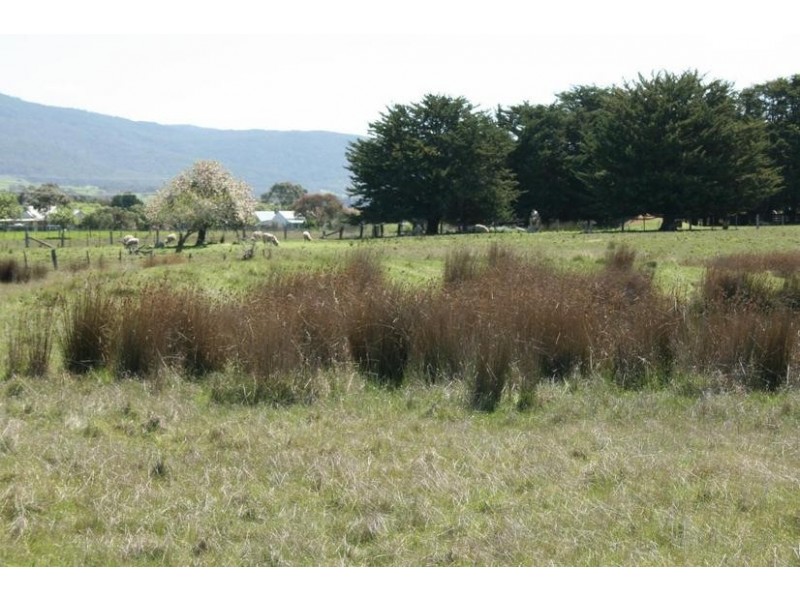 162 Chute-Waterloo Road, Raglan VIC 3373