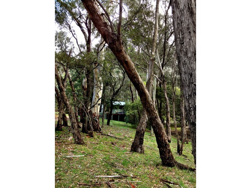 46 High Road, Halls Gap VIC 3381