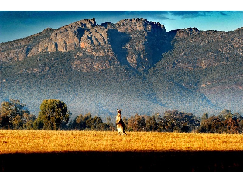 46 High Road, Halls Gap VIC 3381