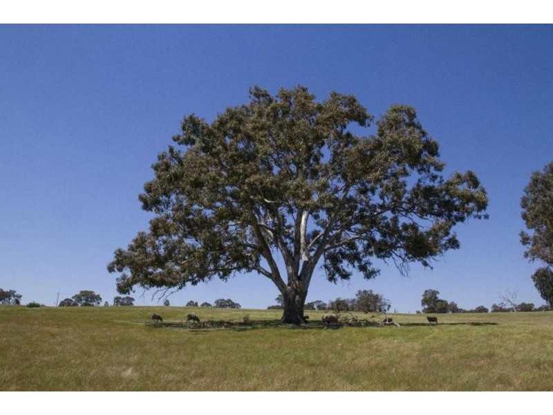 1 Lennox Springs Road, Moyston VIC 3377