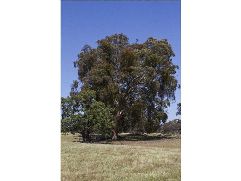 4 Lennox Springs Road, Moyston VIC 3377