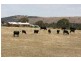 76 Old Brewery Road, Armstrong VIC 3377