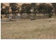 76 Old Brewery Road, Armstrong VIC 3377