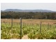 76 Old Brewery Road, Armstrong VIC 3377