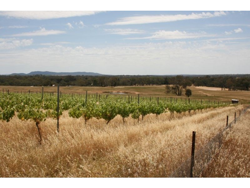 76 Old Brewery Road, Armstrong VIC 3377