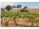 76 Old Brewery Road, Armstrong VIC 3377