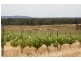 76 Old Brewery Road, Armstrong VIC 3377