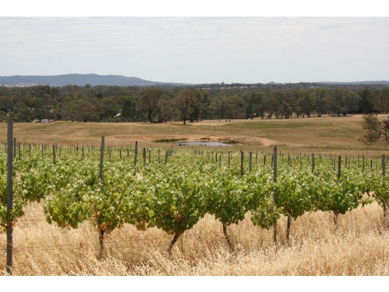76 Old Brewery Road, Armstrong VIC 3377