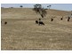 76 Old Brewery Road, Armstrong VIC 3377