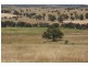 76 Old Brewery Road, Armstrong VIC 3377