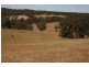 76 Old Brewery Road, Armstrong VIC 3377