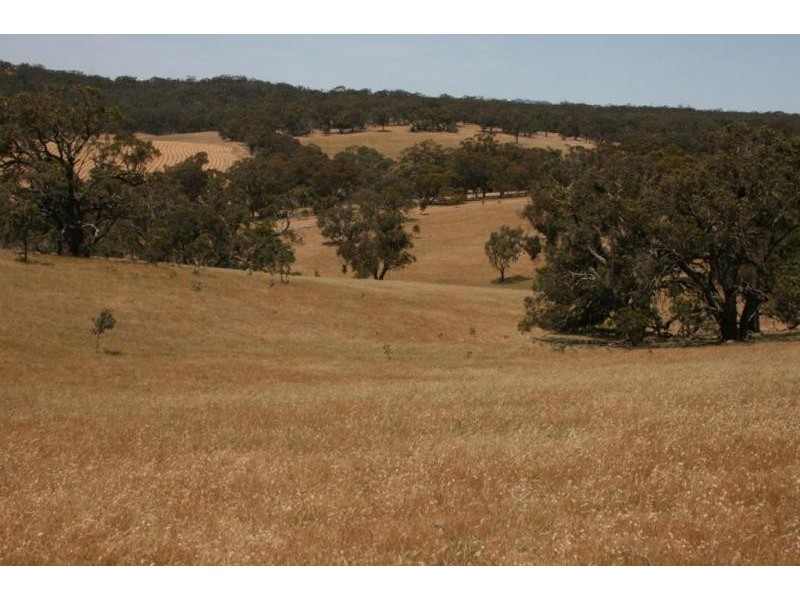 76 Old Brewery Road, Armstrong VIC 3377