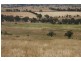 76 Old Brewery Road, Armstrong VIC 3377