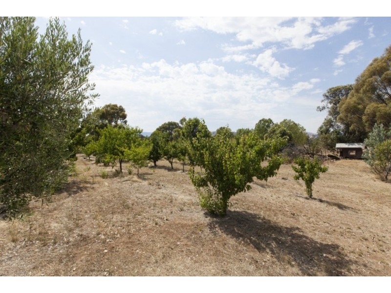 1785 St Arnaud Road, Shays Flat, Landsborough VIC 3384