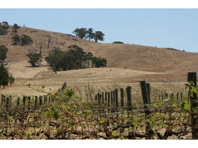 1785 St Arnaud Road, Shays Flat, Landsborough VIC 3384