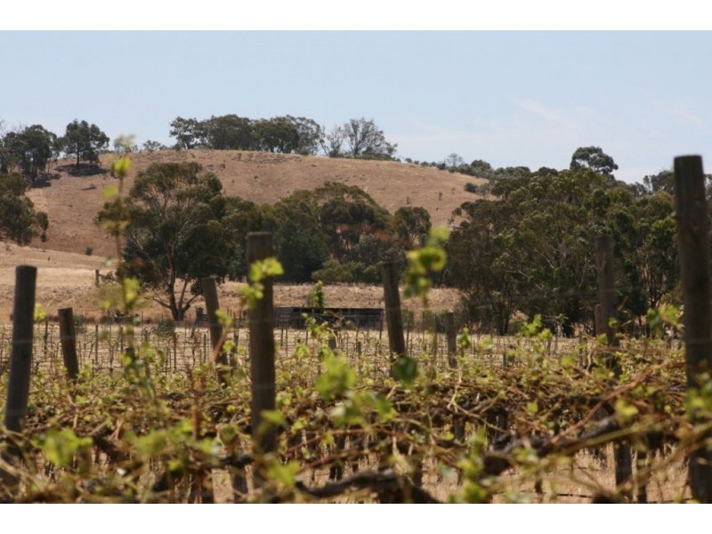 1785 St Arnaud Road, Shays Flat, Landsborough VIC 3384