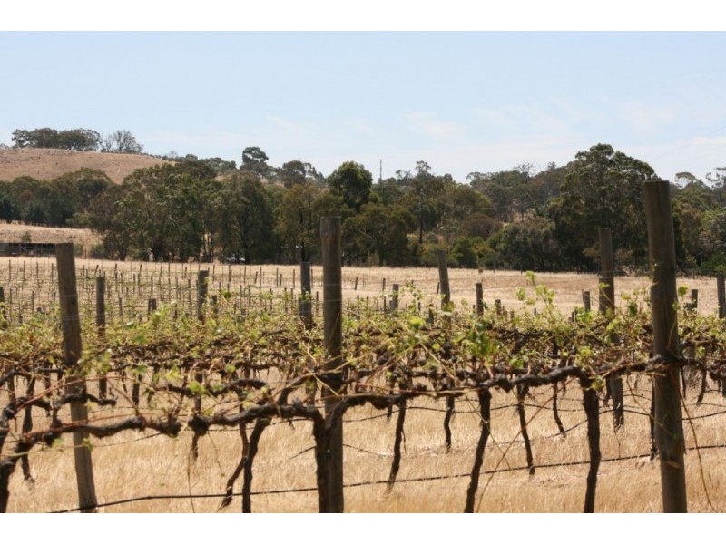 1785 St Arnaud Road, Shays Flat, Landsborough VIC 3384