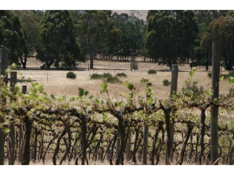 1785 St Arnaud Road, Shays Flat, Landsborough VIC 3384