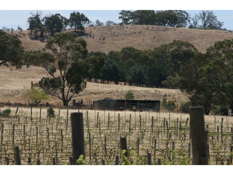 1785 St Arnaud Road, Shays Flat, Landsborough VIC 3384